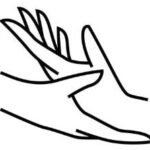 Quiroprofilaxia